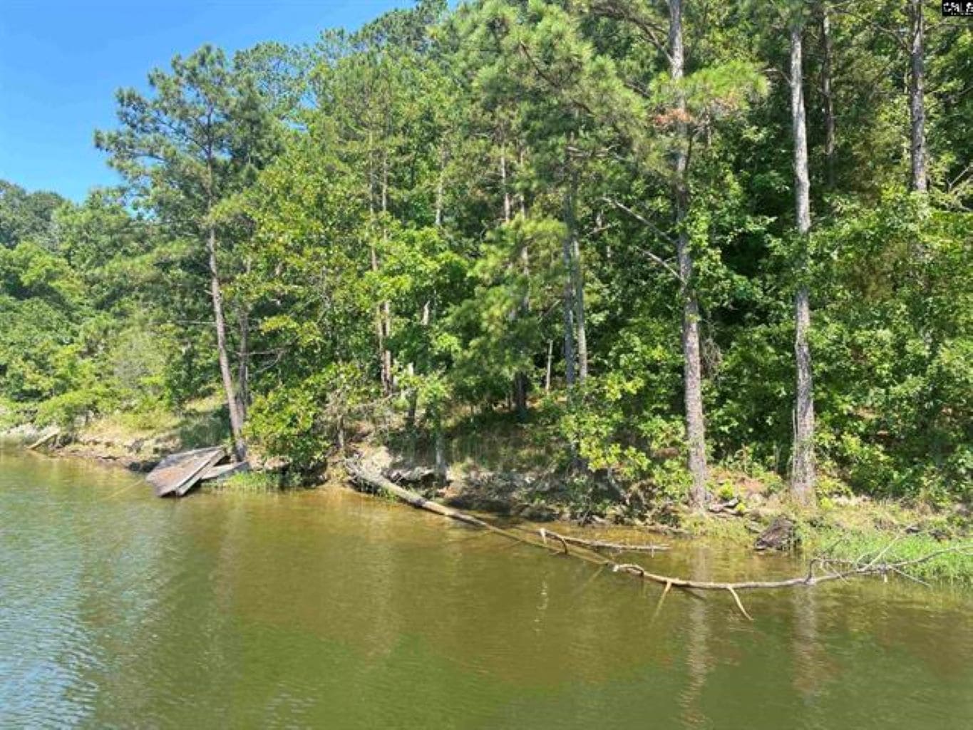 0 Devils Backbone Road 4, Leesville SC - Southern Visions Real Estate